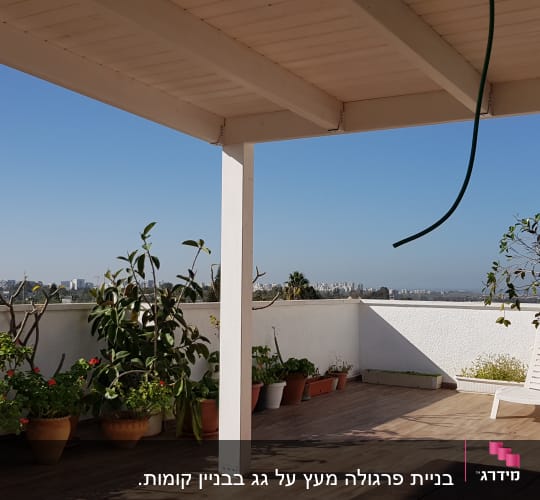 עציצים עם צמחים על רצפת עץ במרפסת